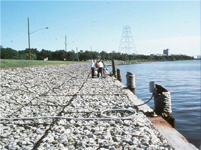 高爾凡雷諾護(hù)墊 高爾凡雷諾護(hù)墊