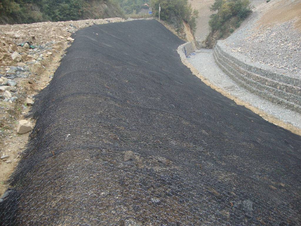 加筋麥克墊生態(tài)治理 加筋麥克墊生態(tài)治理