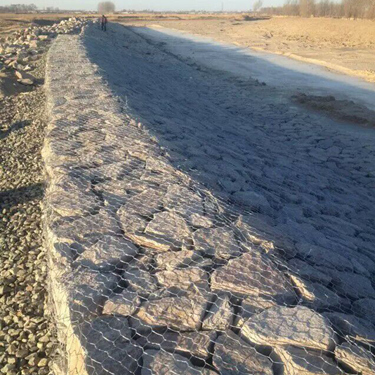 雷諾護墊應用圖 雷諾護墊應用圖