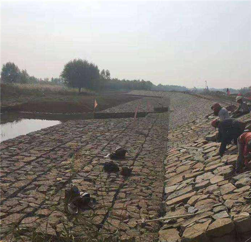 雷諾護(hù)墊應(yīng)用圖 雷諾護(hù)墊應(yīng)用圖