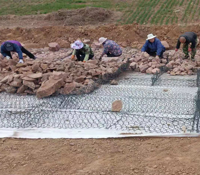 覆塑雷諾護(hù)墊護(hù)堤 覆塑雷諾護(hù)墊護(hù)堤