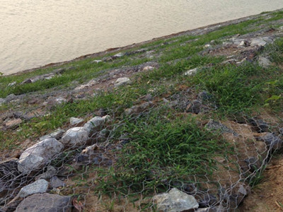 PVC涂塑綠濱墊 PVC涂塑綠濱墊