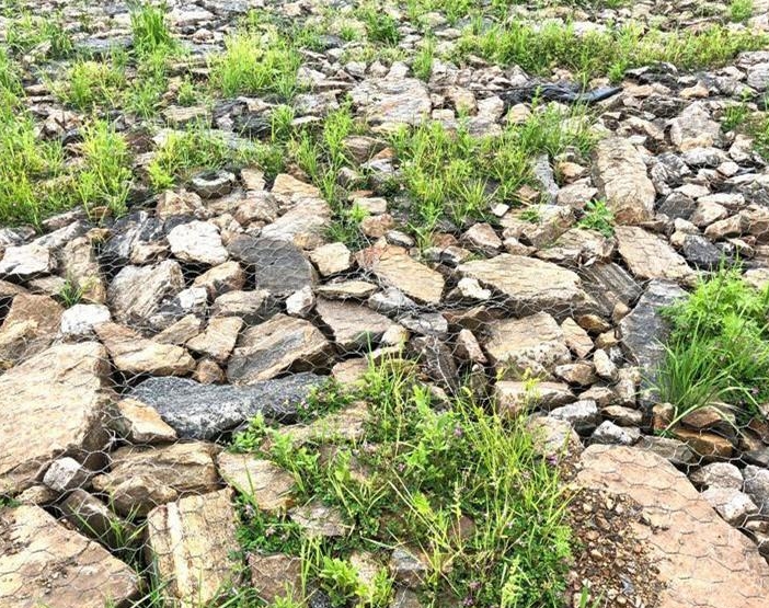 河道治理鍍高爾凡雷諾護墊 河道治理鍍高爾凡雷諾護墊