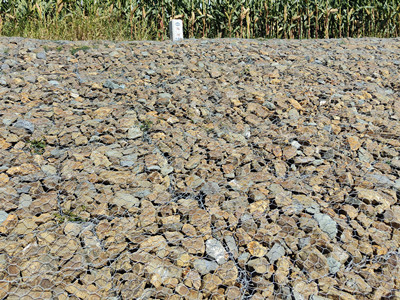 雙隔板格賓護(hù)坡 雙隔板格賓護(hù)坡