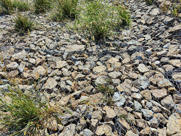 石籠護坡 石籠護坡