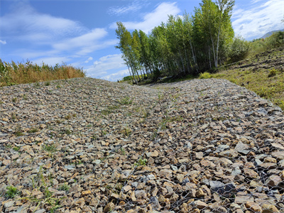 鍍高爾凡賓格籠護(hù)堤 鍍高爾凡賓格籠護(hù)堤