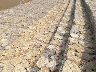 鍍鋅鉛絲籠護(hù)堤 鍍鋅鉛絲籠護(hù)堤