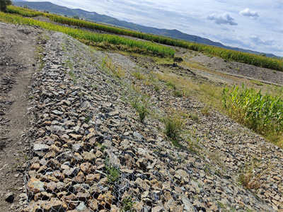 賓格籠護(hù)坡 賓格籠護(hù)坡