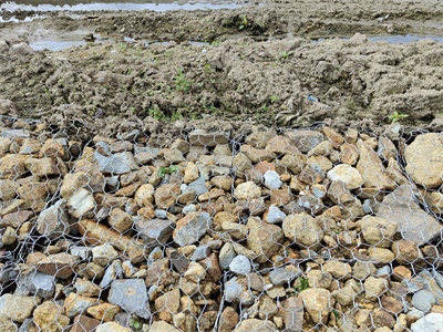 鍍鋅格賓網(wǎng)固腳 鍍鋅格賓網(wǎng)固腳