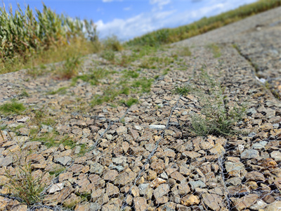 雙隔板雷諾護墊 雙隔板雷諾護墊
