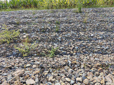 石籠網(wǎng)用途 石籠網(wǎng)用途