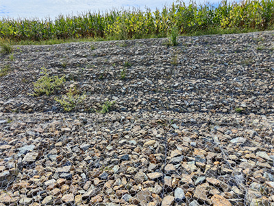 六角石籠網(wǎng) 六角石籠網(wǎng)