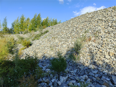 石籠網(wǎng)護坡 石籠網(wǎng)護坡