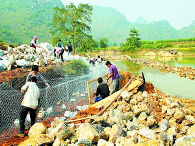 石籠駁岸 石籠駁岸