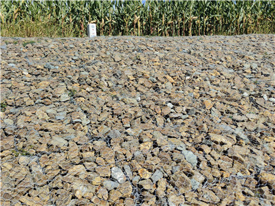 河道護坡 河道護坡